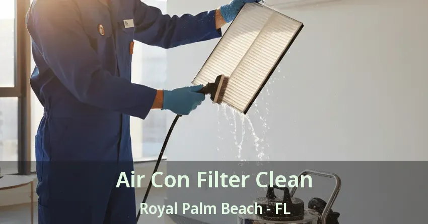 Air Con Filter Clean Royal Palm Beach - FL