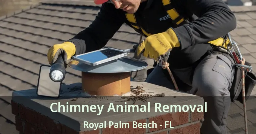 Chimney Animal Removal Royal Palm Beach - FL