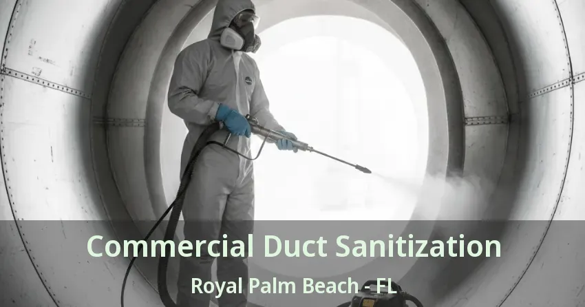 Commercial Duct Sanitization Royal Palm Beach - FL