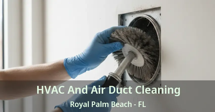 HVAC And Air Duct Cleaning Royal Palm Beach - FL