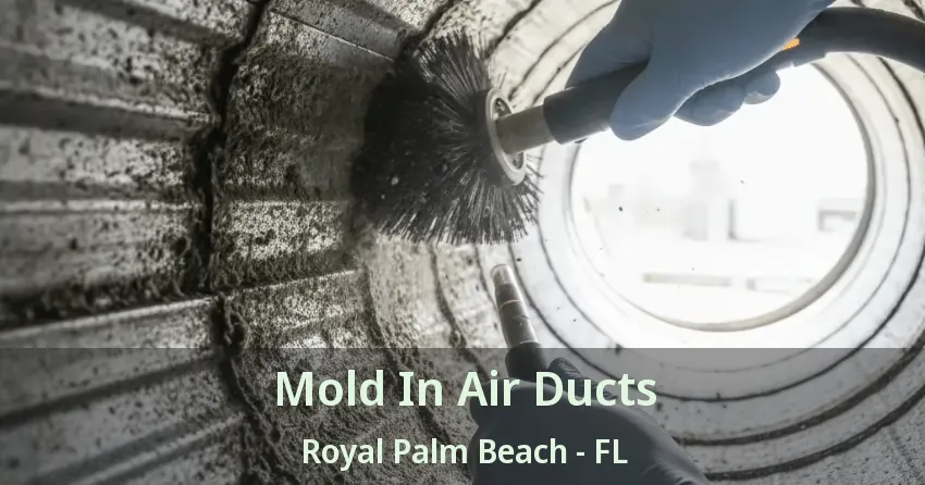 Mold In Air Ducts Royal Palm Beach - FL