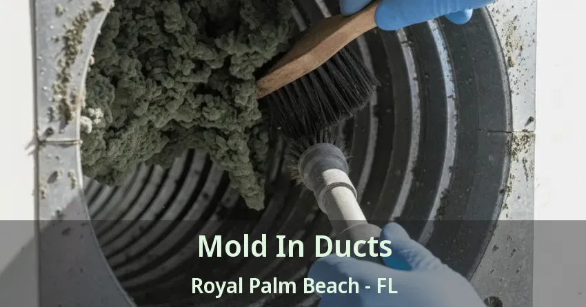 Mold In Ducts Royal Palm Beach - FL